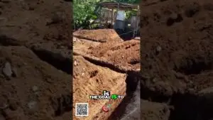 Pile of reddish-brown soil and dirt mounds in a yard, with a small wooden shed and trees in the background, suggesting a digging or excavation area.