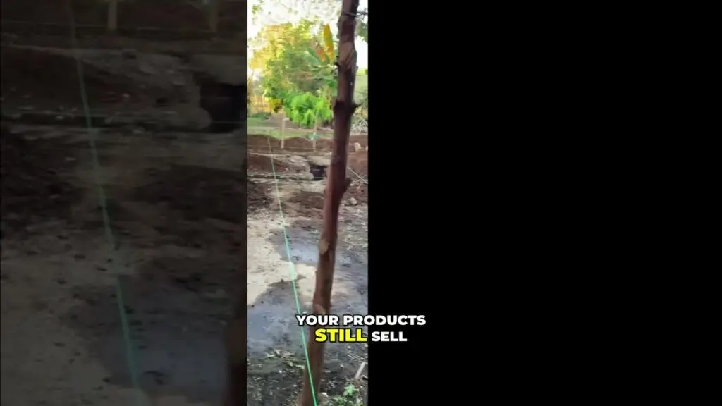 Video frame of a garden with a tree tied to a stake by green strings; bold caption reads 'YOUR PRODUCTS STILL SELL'.